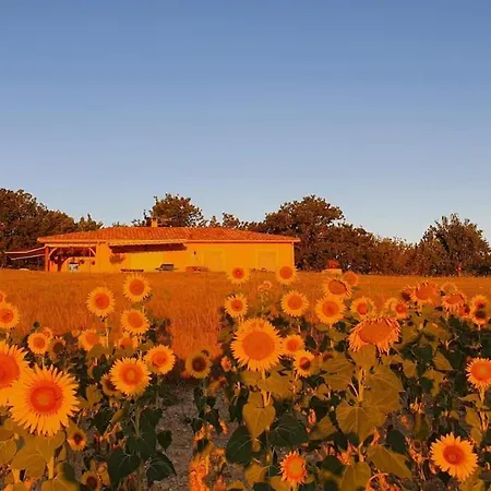 With Private Pool, Quiet And Relaxing Ferienhaus Masquieres
